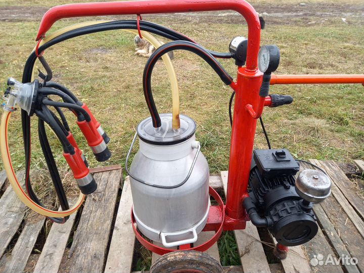 Доильный аппарат для коров