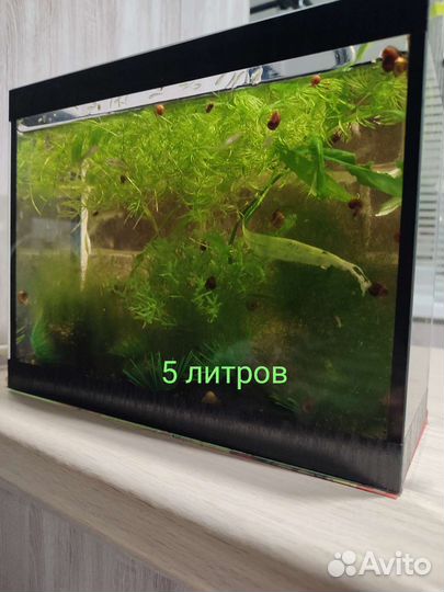 Аквариум с тумбой