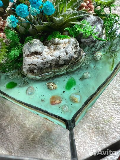 Флорариум, суккуленты