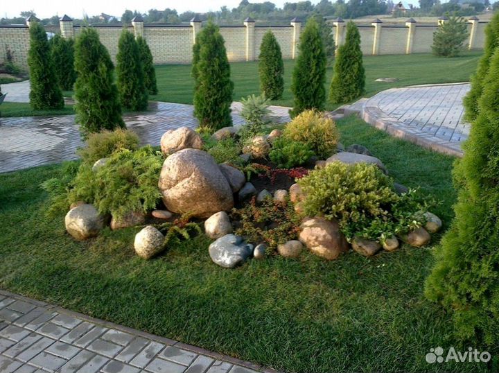 Укладка рулонных газонов под ключ