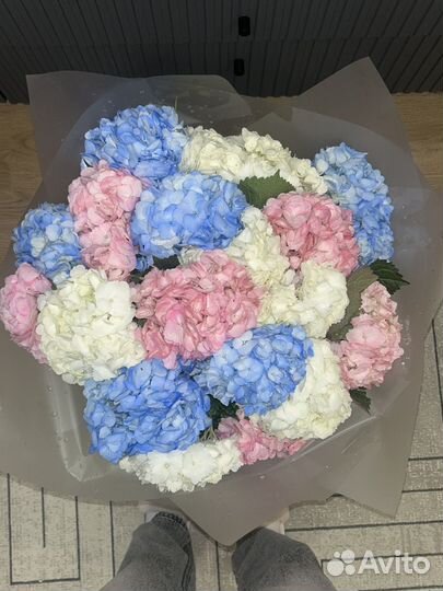 Гортензия букет