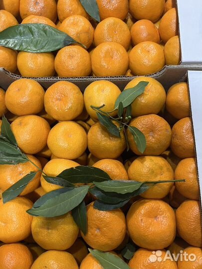 Абхазкие мандарины оригинал