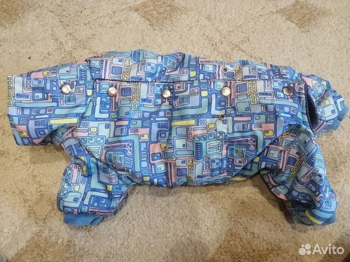 Костюм для маленьких собак