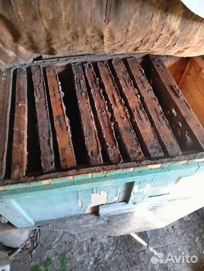 Ульи для пчел бу