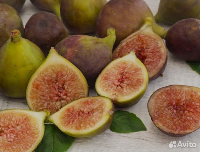 Инжир домашний без химии