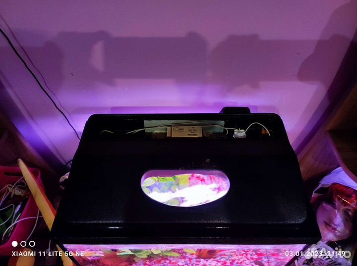 Продам аквариум на 60 литров со всем содержимым