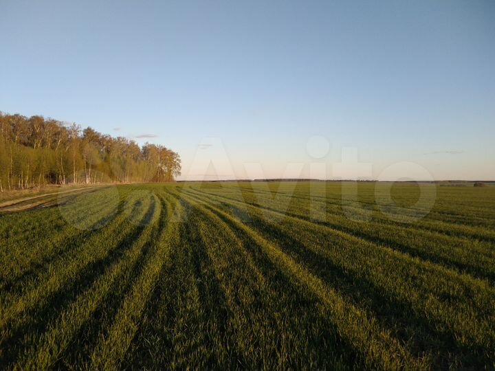 Участок 8,8 га (СНТ, ДНП)