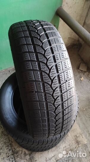 Tigar Winter 1 215/60 R16