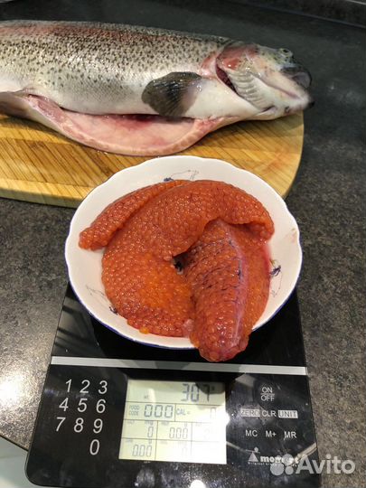 Форель охлажденная оптом