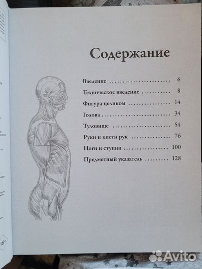 Анатомия для художников