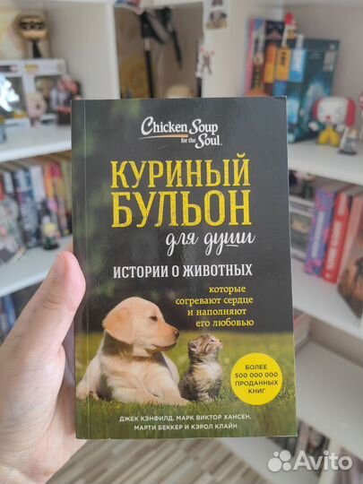 Куриный бульон для души