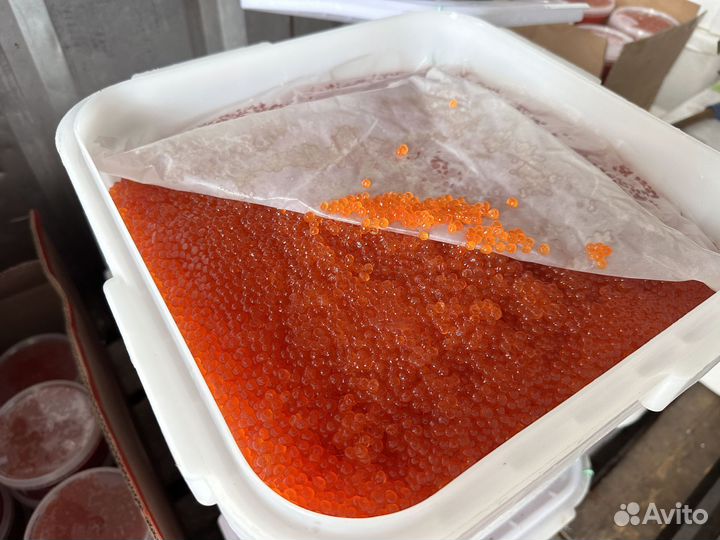 Красная икра оптом с доставкой