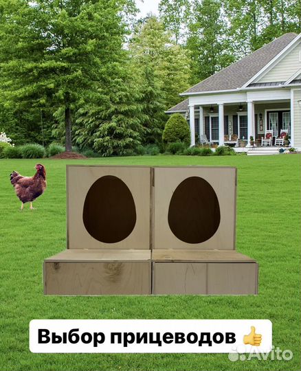 Гнездо для кур с яйцесборником
