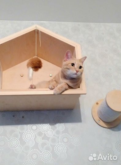 Игровой настенный комплекс для кошек