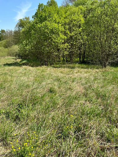 Участок 6 сот. (ИЖС)