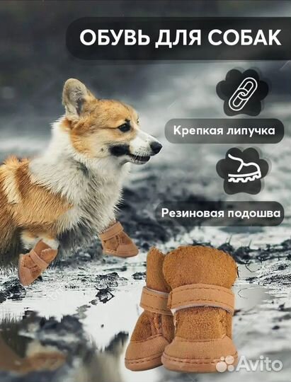 Ботинки для маленьких собак