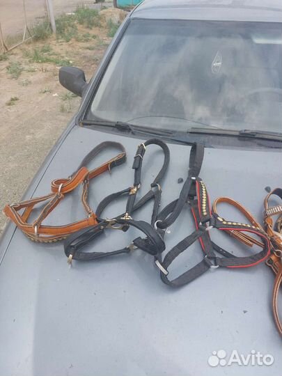 Уздечка для лошади