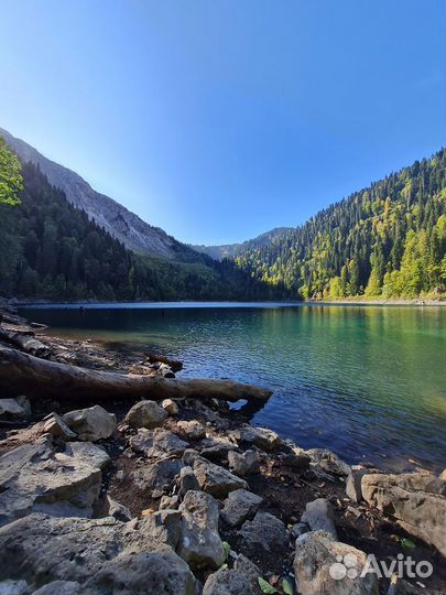 Индивидуальные туры по Абхазии