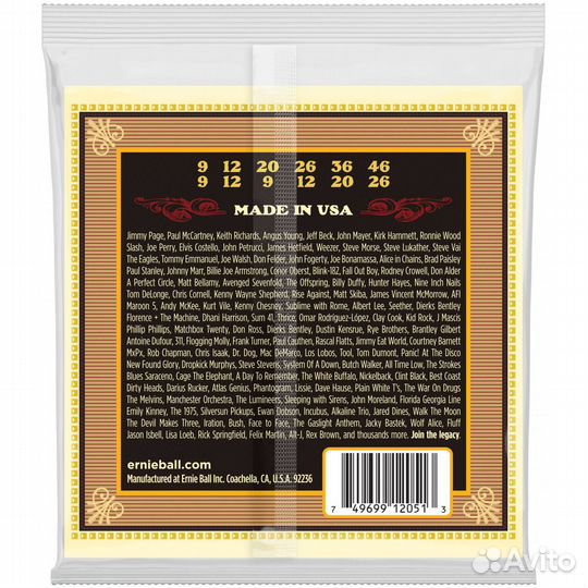 Ernie ball 2051 earthwood для 12 стр. гитары