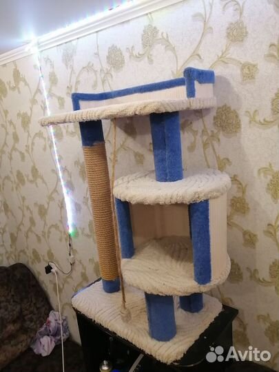 Домик для кошки с когтеточкой бу