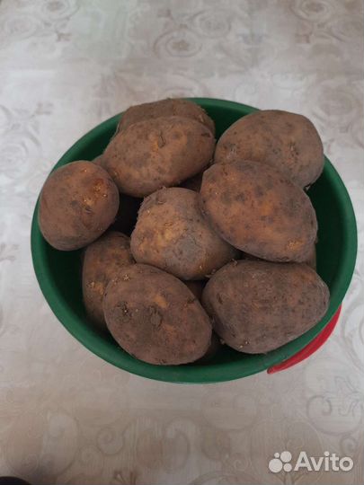 Продам картофель