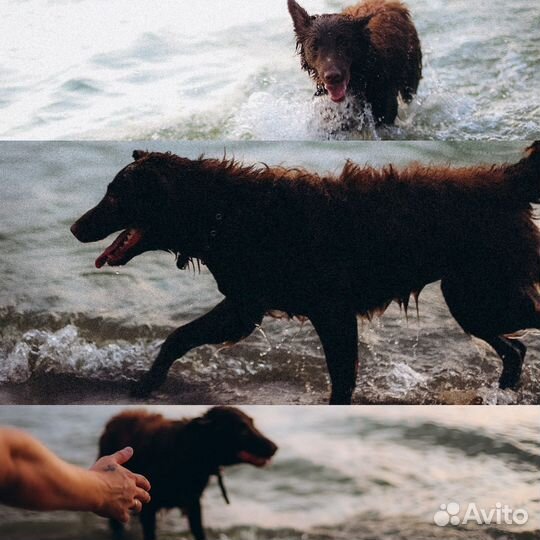 Семейный фотограф