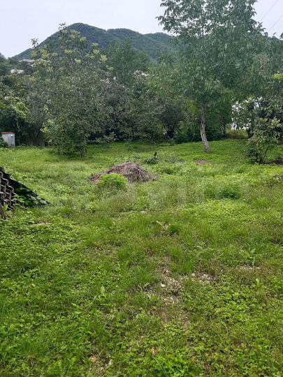 Участок 7,5 сот. (ИЖС)