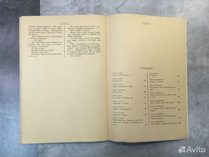 Белый Бим чёрное ухо Троепольский 1984 Современник