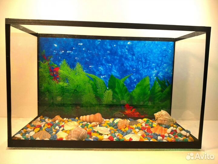 Аквариум новый