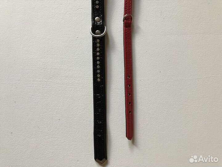 Ошейник для собак