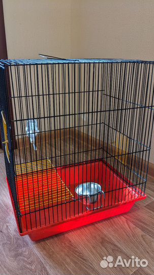 Клетка для грызунов