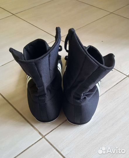 Боксерки adidas box hog 2