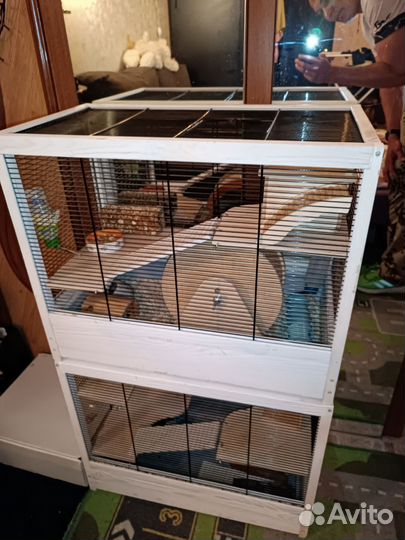 Клетка Витрина для шиншилл, дегу, белки, хомяков