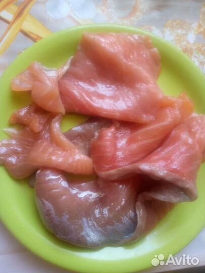 Обрезь семги(лосось)