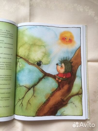 Серёжик’’ Е.Ракитина, худ В.Кирдий