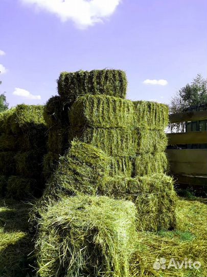 Сено и Стружка в тюках