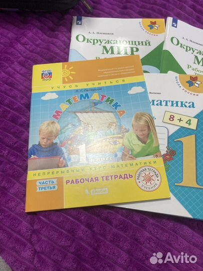 Рабочие тетради 2 класс окружающий мир