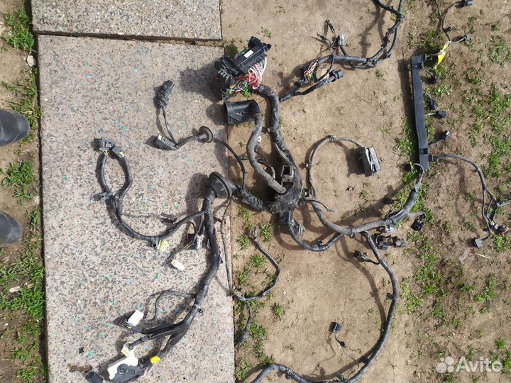 Проводка двигателя подкапотная Hyundai Solaris