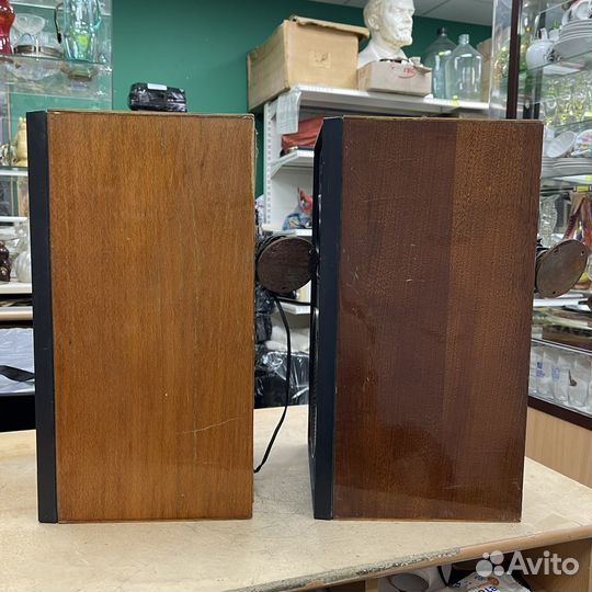 Акустическая система 25ас 109 Колонки Рабочие