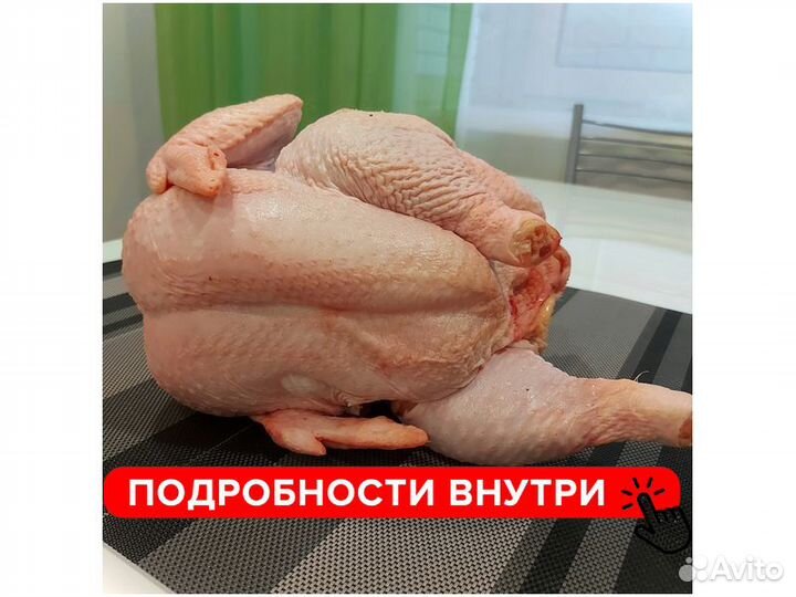 Курица