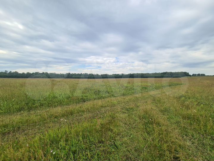 Участок 3,9 га (СНТ, ДНП)