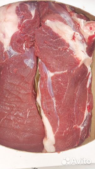 Мясо телятина