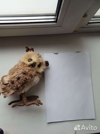 Чучело Совы