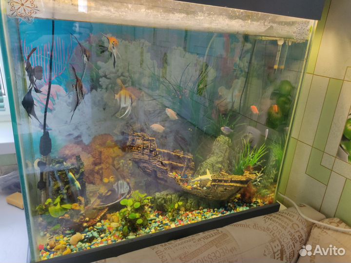 Аквариум на 150 литров