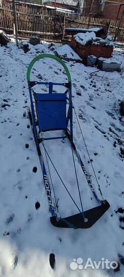 Нарты для собак