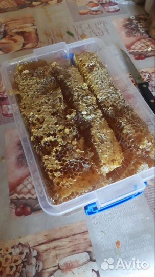 Мёд с личной пасеки