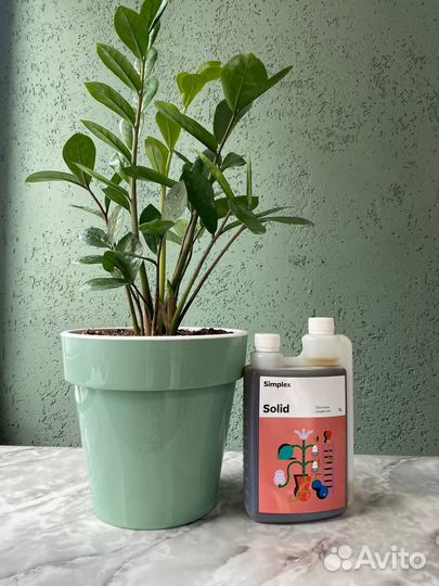 Стимулятор для цветения Simplex Solid