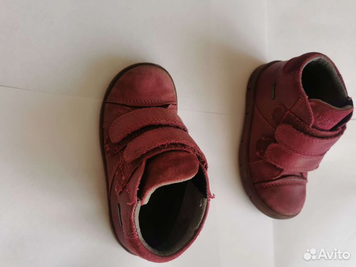 Ботинки демисезонные superfit