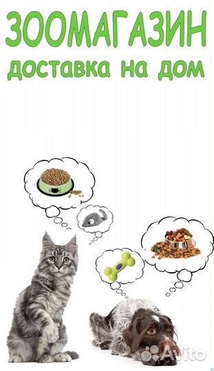 Homecat Цветы 20 см - 30 см ошейник для кошек с бу