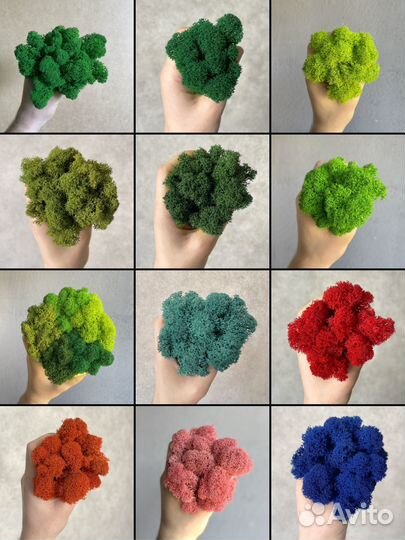 Мох для дизайна, 500г, цвет Зелёное Яблоко